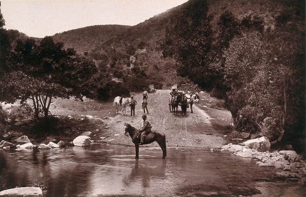 Van Staaden's Pass, South Africa: a river crossing on the Cape Road with horses and wagon. Woodburytype, 1888, after a photograph by Robert Harris.