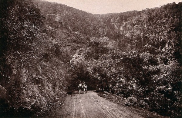 Zuurberg Pass, South Africa: a wagon road. Woodburytype, 1888, after a photograph by Robert Harris.