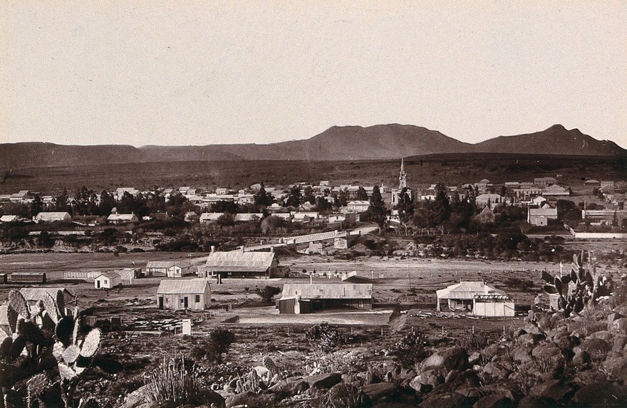 Cradock, South Africa: part of the town. Woodburytype, 1888, after a photograph by Robert Harris.