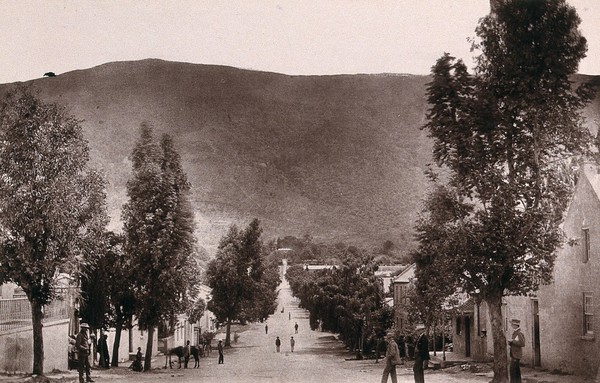 Somerset East, South Africa: a street. Woodburytype, 1888, after a photograph by Robert Harris.