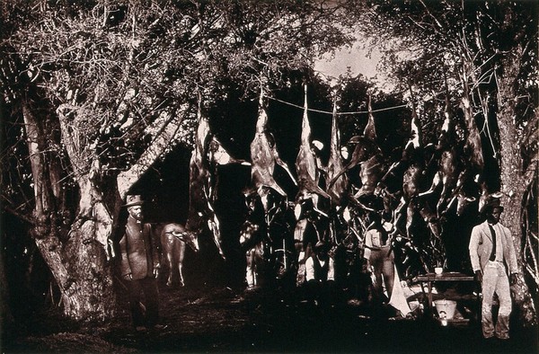 South Africa: hunters at their camp with their Easter kill. Woodburytype, 1888, after a photograph by Robert Harris.