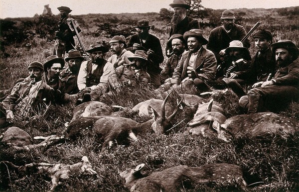 Wycombe Vale, South Africa: a group of bushbuck hunters with their kill. Woodburytype, 1888, after a photograph by Robert Harris.