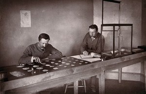 view Kimberley, South Africa: sorting stones in a diamond office. Woodburytype, 1888, after a photograph by Robert Harris.