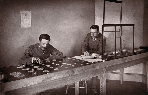 Kimberley, South Africa: sorting stones in a diamond office. Woodburytype, 1888, after a photograph by Robert Harris.
