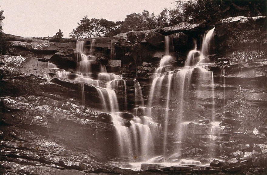 Umbilo Falls, South Africa: waterfalls near Durban. Woodburytype, 1888, after a photograph by Robert Harris.
