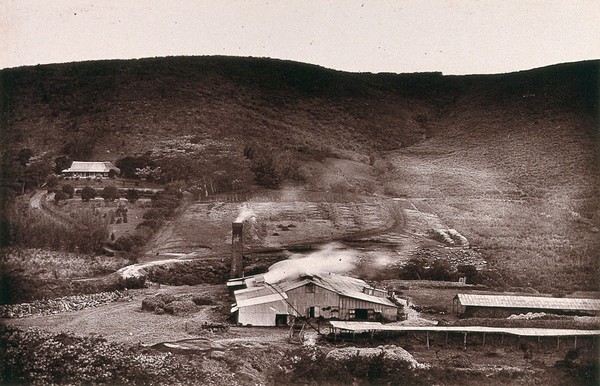 Natal, South Africa: a sugar mill and plantation in Umzinto. Woodburytype, 1888, after a photograph by Robert Harris.