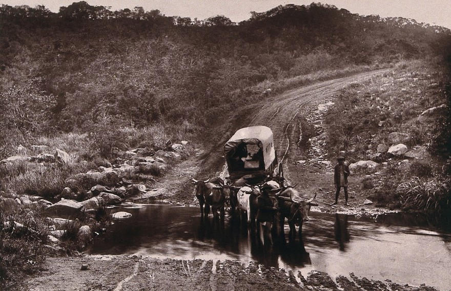 Natal, South Africa: a wagon crossing the Umkomas River. Woodburytype, 1888, after a photograph by Robert Harris.