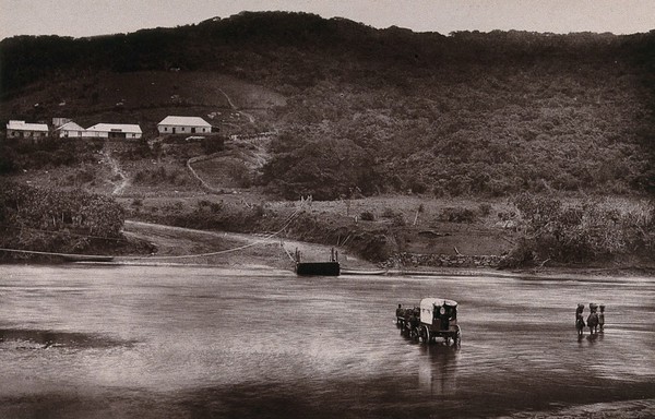 Natal, South Africa: a wagon crossing the Umkomas River. Woodburytype, 1888, after a photograph by Robert Harris.