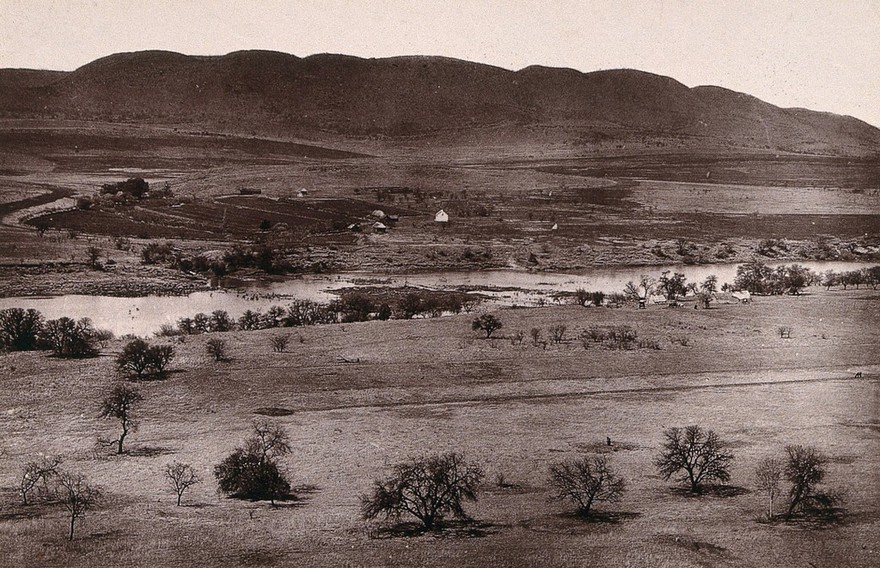 Vaal River, South Africa: part of the river near Potchefstroom. Woodburytype, 1888, after a photograph by Robert Harris.