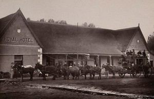 view Potchefstroom, South Africa: a goldfields coach and horses at the Royal Hotel. Woodburytype, 1888, after a photograph by Robert Harris.