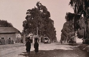view Transvaal, South Africa: African women carrying water in Church Street, Pretoria. Woodburytype, 1888, after a photograph by Robert Harris.