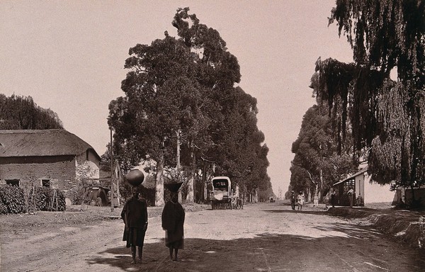 Transvaal, South Africa: African women carrying water in Church Street, Pretoria. Woodburytype, 1888, after a photograph by Robert Harris.