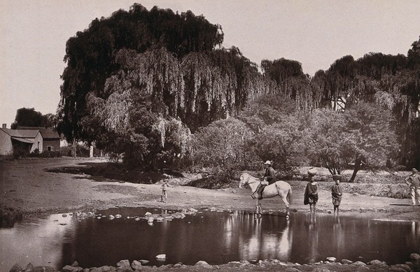 Pretoria, South Africa: a river and the entrance to the city on Middleburg Road. Woodburytype, 1888, after a photograph by Robert Harris.