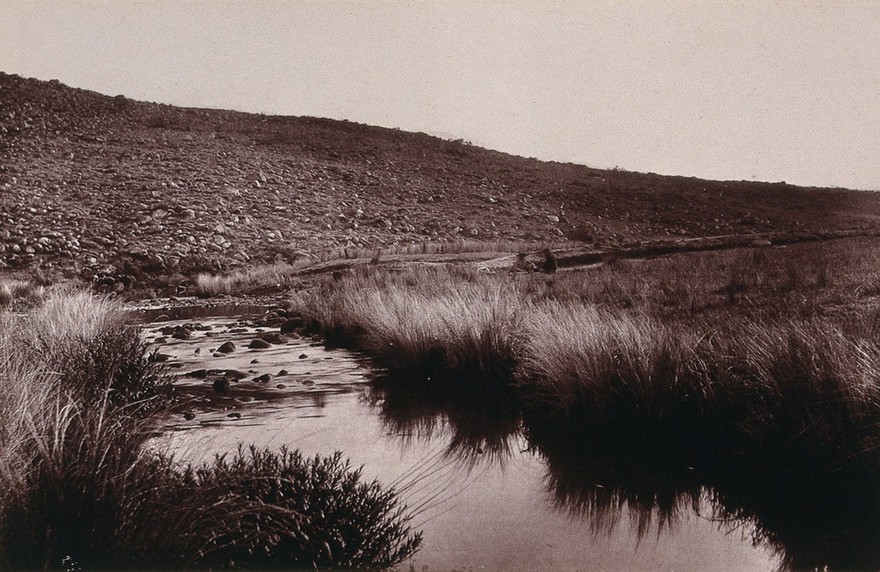 Bronker's Spruit, South Africa: a river crossing on the Pretoria and Middleburg Road. Woodburytype, 1888, after a photograph by Robert Harris.