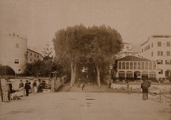 Madeira: the landing stage at Madeira harbour. 1896.