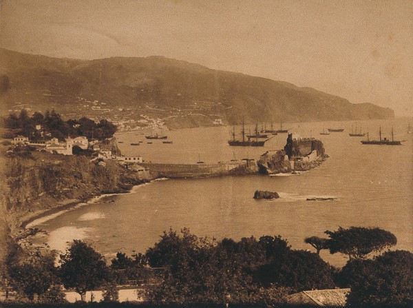 Madeira: the landing stage at Madeira harbour. 1896.