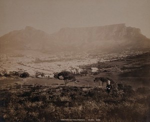 view South Africa: Cape Town and Table Mountain from a hill above. Photograph by George Washington Wilson, 1896.