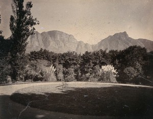 view Cape Town, South Africa: Table Mountain from The Vineyard Hotel at Newlands. 1896.