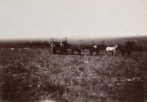 view South Africa: English tourists at the battlefield at Doornkop. 1896.