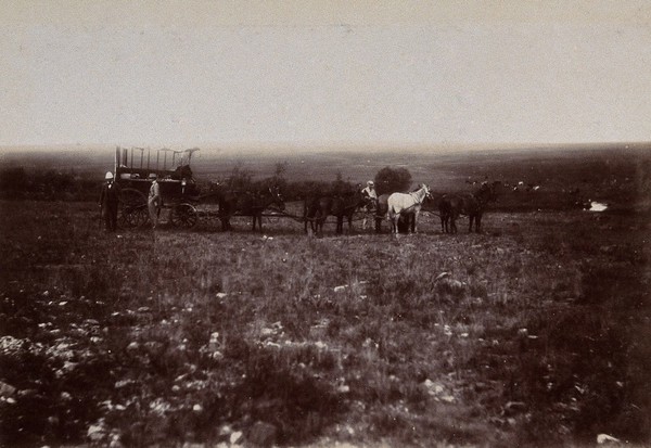 South Africa: English tourists at the battlefield of Doornkop. 1896.