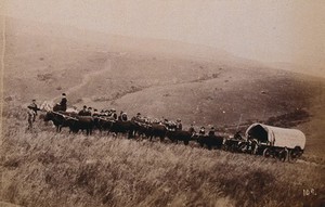 view South Africa: landscape with people, a wagon and oxen in the foreground. 1896.