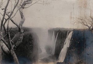 view Zimbabwe: Victoria Falls. Photograph by Prof. W.B. Scott, 1905.