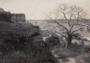 view Kenya: Mombasa. Photograph by Hon. Geoffrey L. Parsons, 1905.