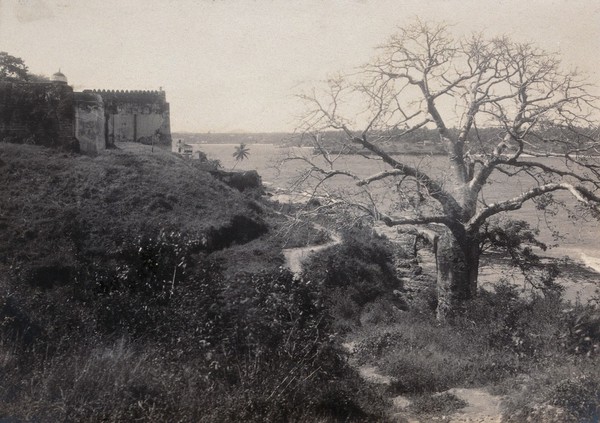 Kenya: Mombasa. Photograph by Hon. Geoffrey L. Parsons, 1905.