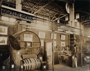 view The 1904 World's Fair, St. Louis, Missouri: an Argentine Republic exhibit on forestry. Photograph, 1904.