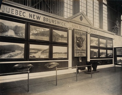 The 1904 World's Fair, St. Louis, Missouri: Canadian exhibit on the Intercolonial railway, featuring a stuffed bear. Photograph, 1904.