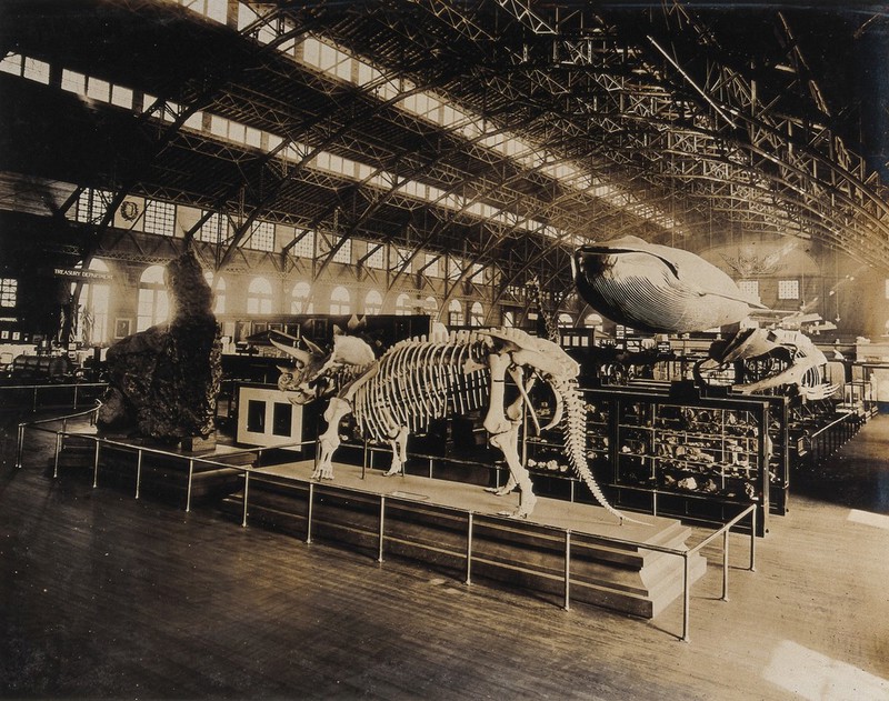 The 1904 World's Fair, St. Louis, Missouri: the US Government