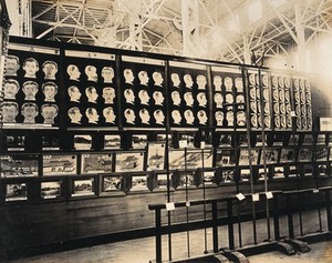 view The 1904 World's Fair, St. Louis, Missouri: a Japanese exhibit featuring criminal identification charts based on Alphonse Bertillon's system and framed images relating to Japanese law. Photograph, 1904.