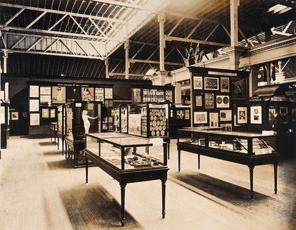 The 1904 World's Fair, St. Louis, Missouri: an exhibit relating to British and Irish education. Photograph, 1904.