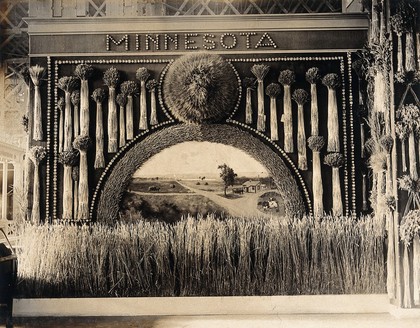 The 1904 World's Fair, St. Louis, Missouri: a Minnesota grain display. Photograph, 1904.