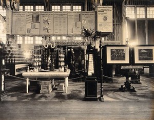 view The 1904 World's Fair, St. Louis, Missouri: an Argentine agricultural exhibit displaying national produce. Photograph, 1904.