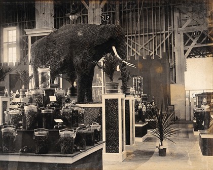 The 1904 World's Fair, St. Louis, Missouri: an elephant constructed from nuts; part of a Californian agricultural exhibit. Photograph, 1904.