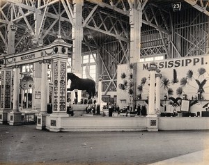 view The 1904 World's Fair, St. Louis, Missouri: a Mississippi agricultural exhibit; including a horse constructed from pecans. Photograph, 1904.