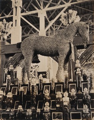 view The 1904 World's Fair, St. Louis, Missouri: a horse constructed from Sacramento hops; part of a California agricultural exhibit. Photograph, 1904.