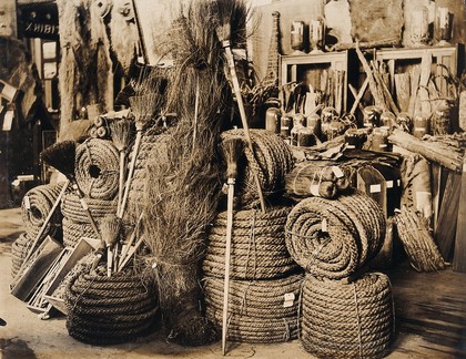 The 1904 World's Fair, St. Louis, Missouri: a Brazilian agricultural exhibit: coils of rope and brooms. Photograph, 1904.