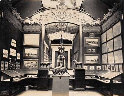 The 1904 World's Fair, St. Louis, Missouri: Belgian agriculture and livestock exhibit. Photograph, 1904.