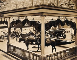 view The 1904 World's Fair, St. Louis, Missouri: a Brazilian transportation exhibit displaying model horses and cattle. Photograph, 1904.