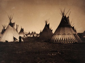 view A Piegan encampment, North America: tipis, including a decorated medicine tipi. Photograph by Edward S. Curtis, 1900.