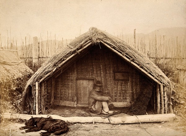 New Zealand: a Maori man sitting in front of a traditional house. Albumen print.