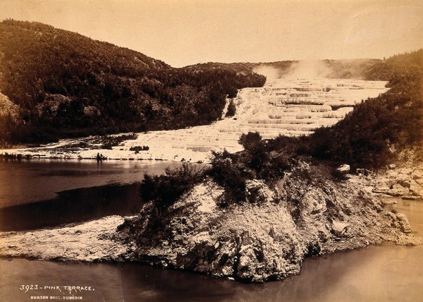 Pink and White Terraces, New Zealand: terraced thermal pools on the edge of Lake Rotomahana. Albumen print by Burton Bros.