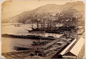 view Lyttelton, New Zealand: the port and town from Sumner Road. Albumen print.