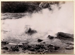 view Tikitere, New Zealand: boiling mud pools. Albumen print.