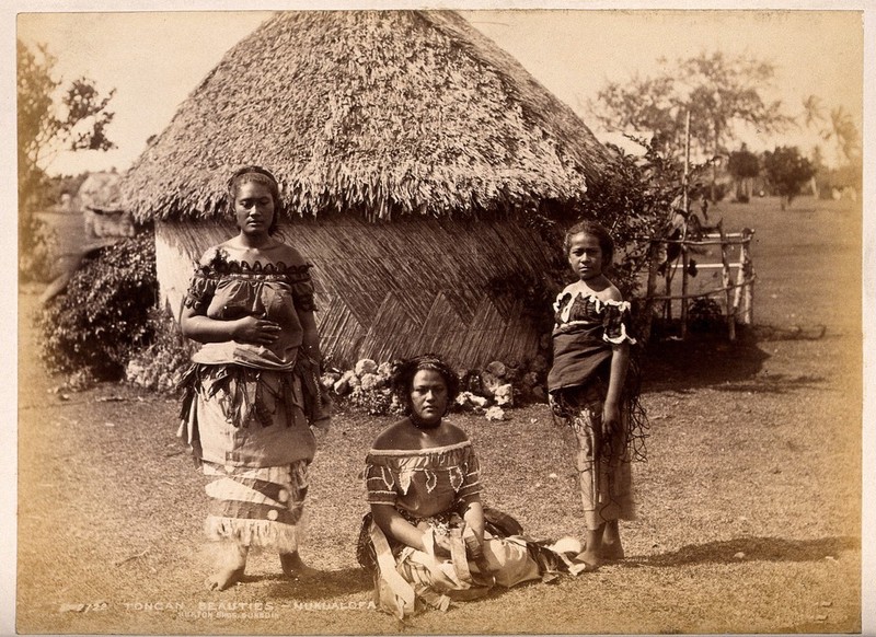 Nuku'alofa, Tonga: three Tongan women in front of a traditional hut. Albumen print by Burton Bros., by Burton Brothers