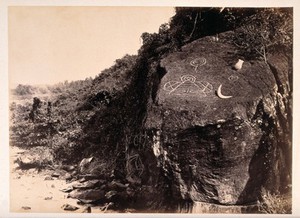 view Ancient Carib symbols on a rock. Albumen print.