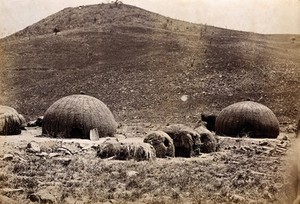 view Natal, South Africa: traditional kraal huts. Albumen print.