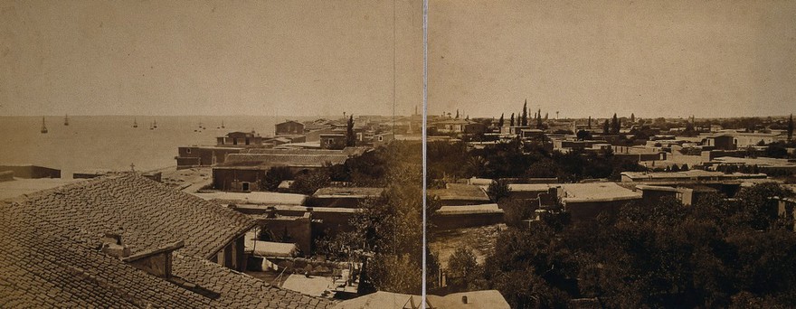 Limasol, Cyprus: panoramic view: section two. Photograph, ca. 1880.